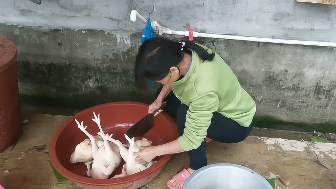 關(guān)于阿梅殺雞視頻的理性分析與網(wǎng)絡(luò)倫理道德探討，警惕涉黃內(nèi)容侵蝕社會(huì)倫理底線。