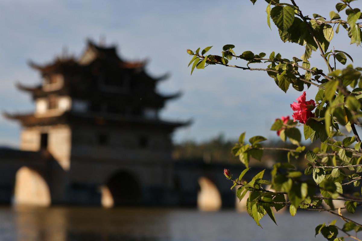 大冰最新力作，智能生活新紀(jì)元——科技與生活的完美融合