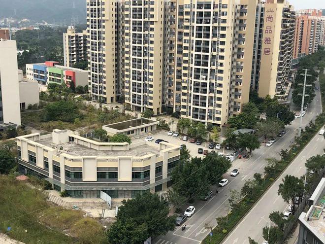 膠南山水雅居最新動態(tài)，鄰里日常趣事與情感紐帶分享