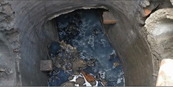 遂寧市電子廠最新招聘，與自然共舞，探尋內(nèi)心寧?kù)o之旅