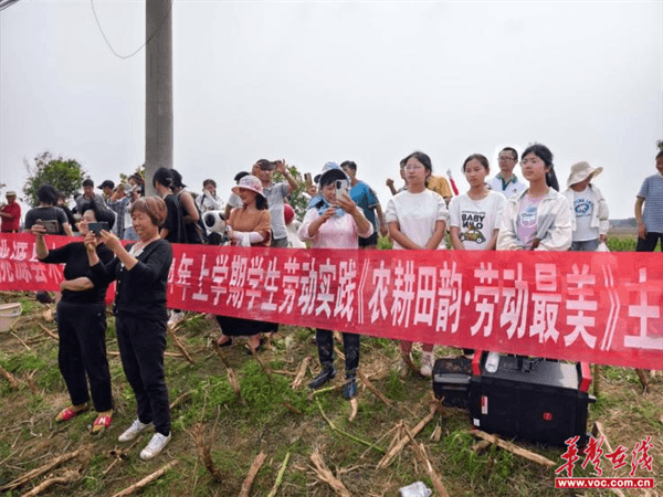 桃源木塘垸鄉(xiāng)新動態(tài)，趣事連連，真摯友情綻放鄉(xiāng)間