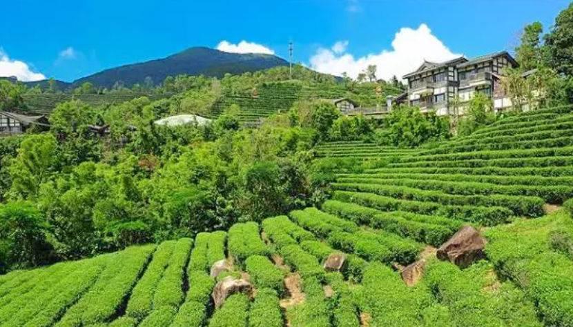 深圳驚喜活動溫情之旅，日常中的特別瞬間