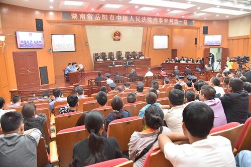 聶祖峰最新探索之旅，自然美景中的心靈尋覓與平和之境