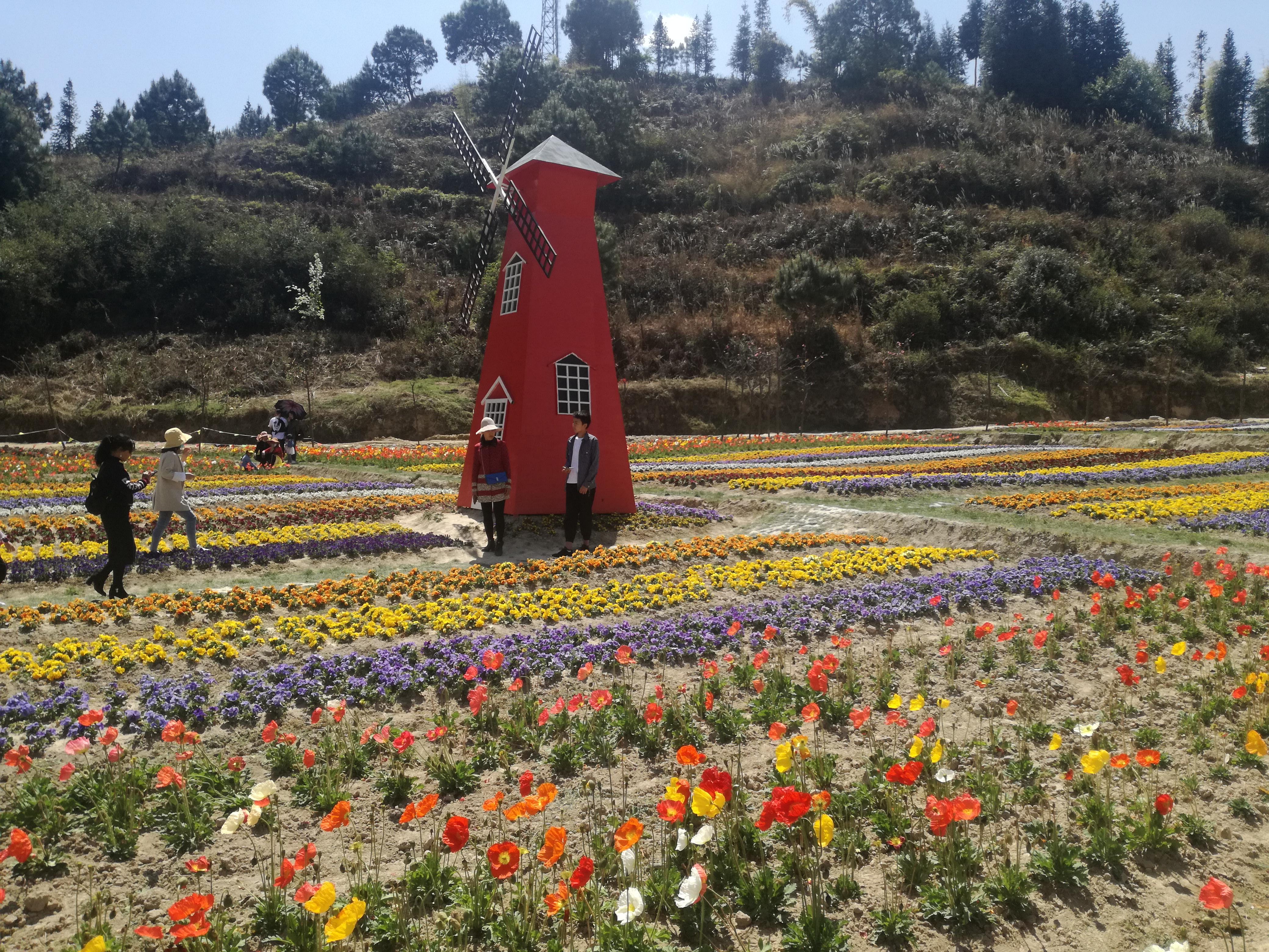 臨滄市最新探索，自然美景之旅，尋找內(nèi)心平和的旅程