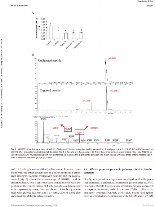 糖肽最新文獻(xiàn)，自然之旅的心靈探尋之旅，尋找內(nèi)心的寧靜