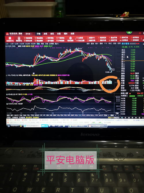 股票電腦版，開(kāi)啟溫馨的股市之旅