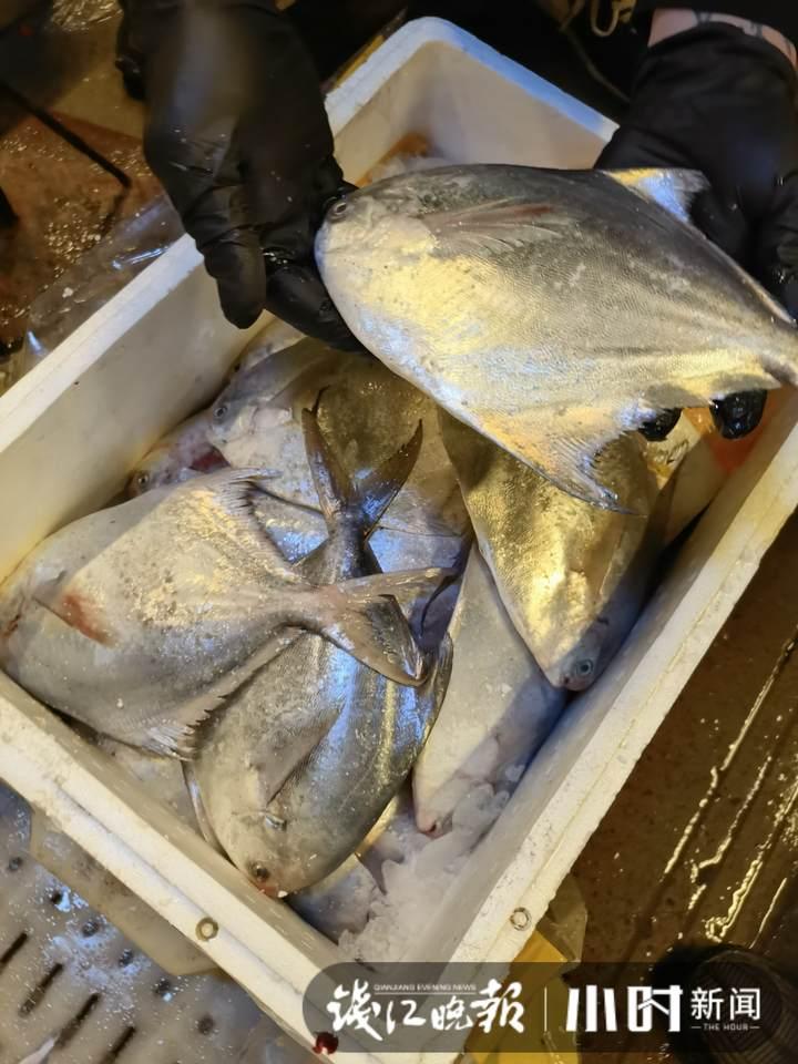 帶魚行情，一場(chǎng)海鮮盛宴的溫馨之旅