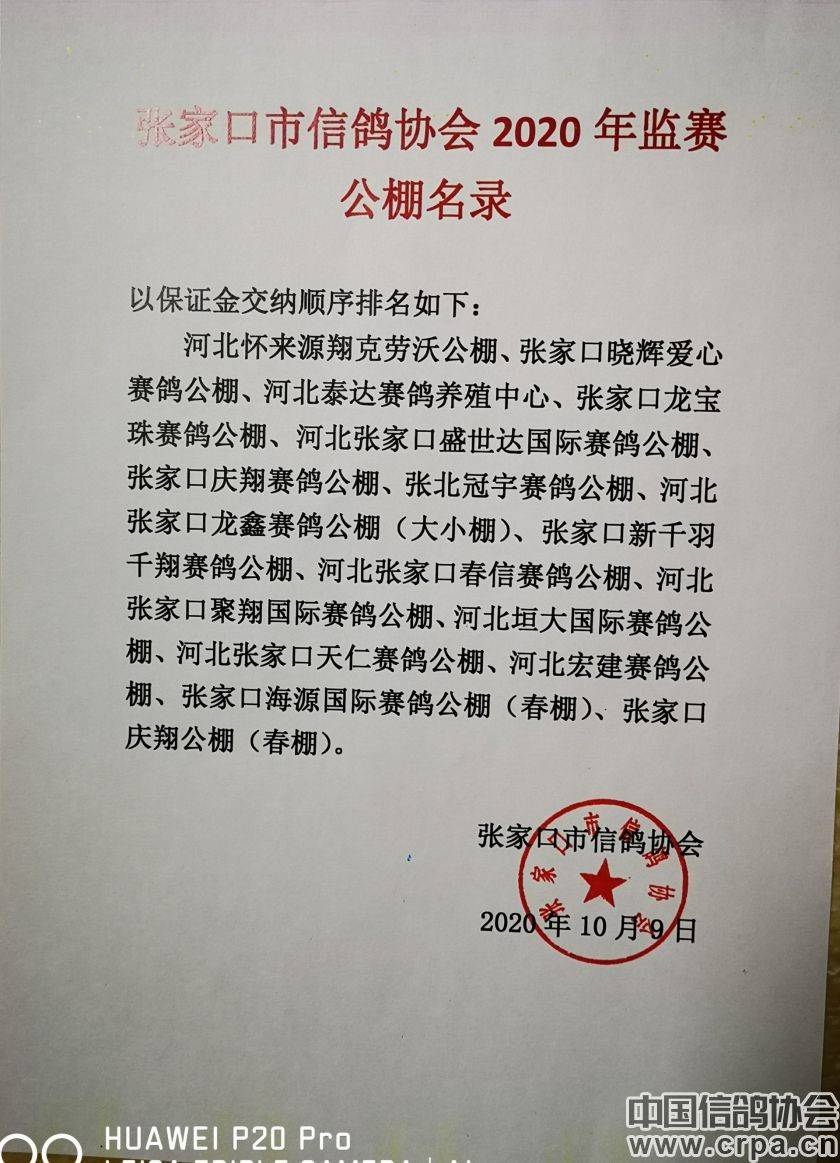 東光信鴿協(xié)會(huì)最新通告，小巷深處的獨(dú)特風(fēng)味揭秘與信鴿活動(dòng)更新通知