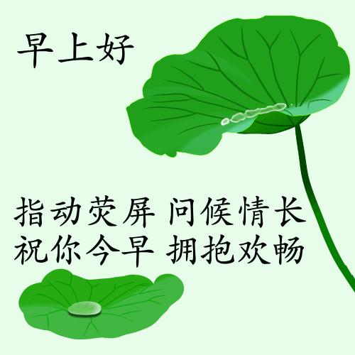 最新疫情動態(tài)下的自然探索之旅，追尋內(nèi)心的平和與寧靜