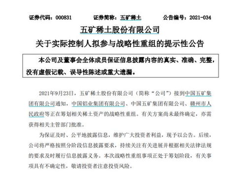 南方稀土股票，小巷中的隱秘寶藏，探索投資魅力的未知之旅