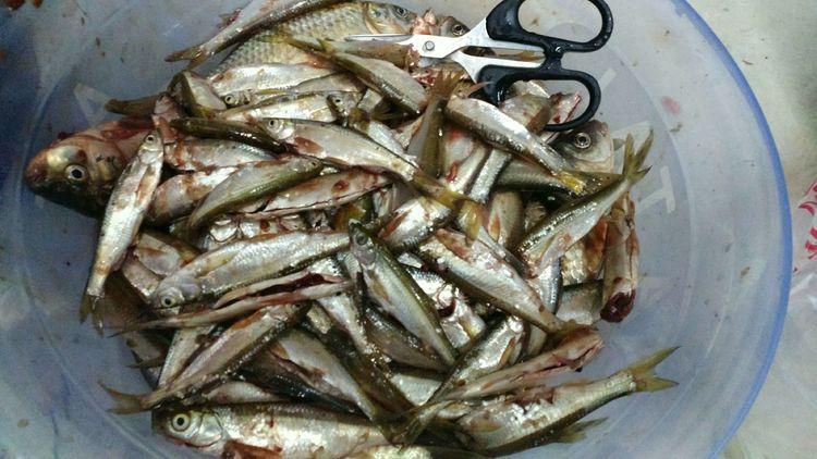 昆明最新野釣地點(diǎn)探索，重拾生活激情與自信的自然之旅