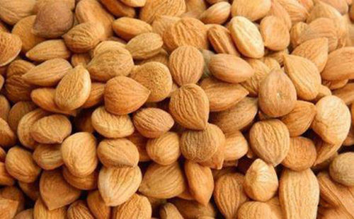 苦杏仁行情深度解析，背景、事件與地位探究