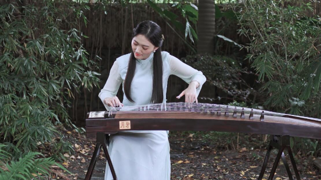 抖音最新琵琶演奏，古典與現(xiàn)代的完美融合之美