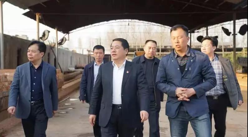商丘王仲田最新動(dòng)態(tài)，探索自然美景的旅行，尋求內(nèi)心平和之旅