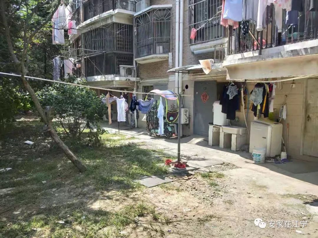 最新大雜亂時代，混沌與秩序的重建之路