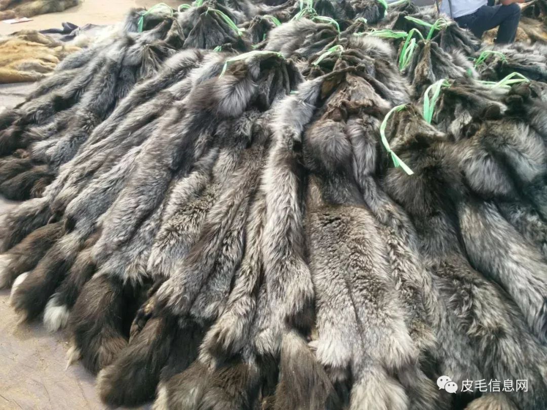 貉皮尚村最新價(jià)格，小巷中的時(shí)尚皮草寶藏探索