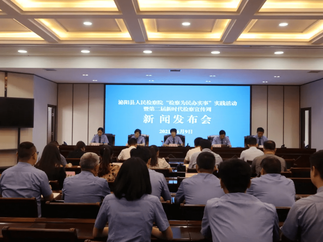 泌陽新聞最新動態(tài)，多元視角下的觀察與思考