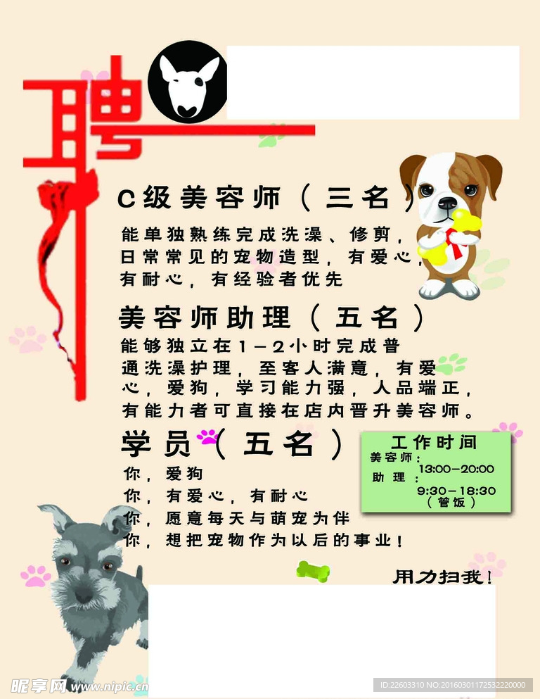 寵物店招聘最新動態(tài)，共探自然之美，尋求內(nèi)心寧靜