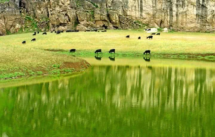 青草最新在線視頻，自然與科技融合之美展現(xiàn)的力量