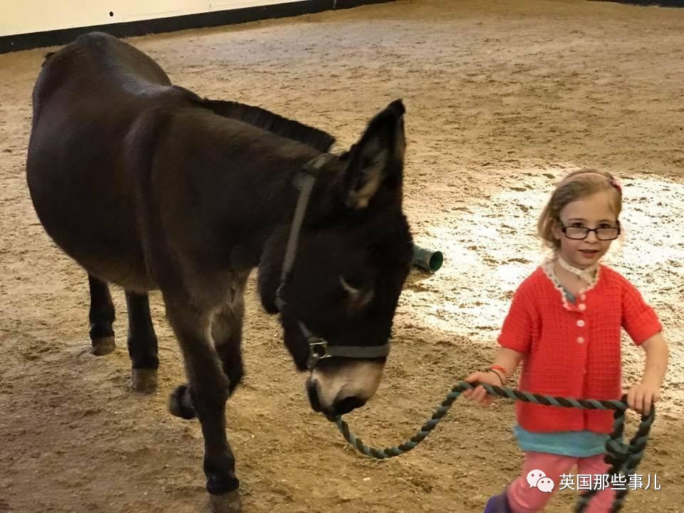 二驢子最新事件揭秘，事件全貌大揭秘！