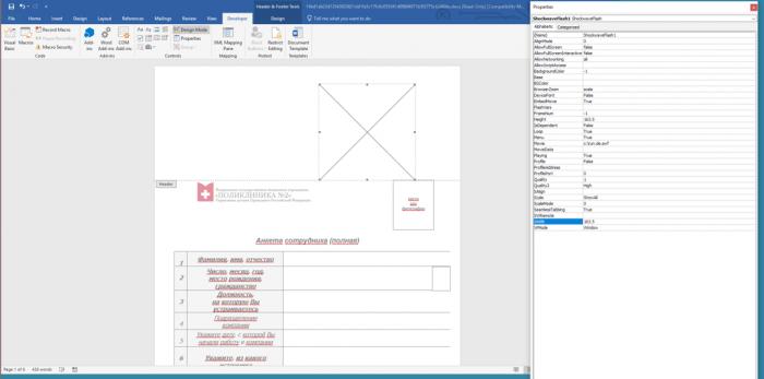 Flash Player官方最新版下載，探索小巷寶藏與特色小店的奇妙之旅