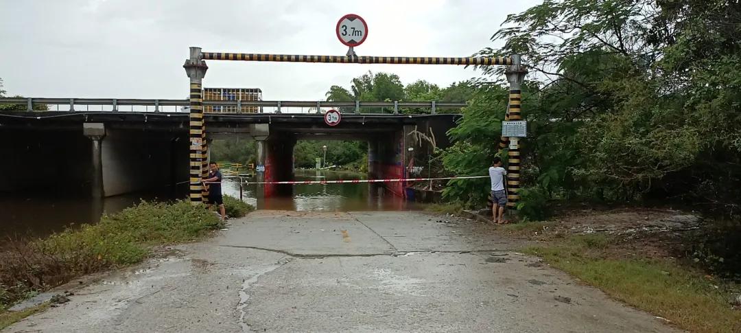 惠陽(yáng)臺(tái)風(fēng)最新消息，小巷深處的風(fēng)味秘境