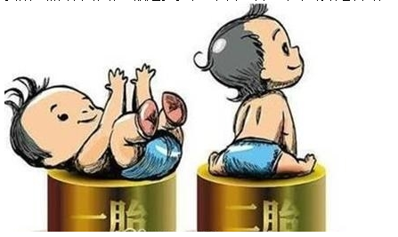 最新雙胞胎補(bǔ)助政策，攜手同行，助力孕育夢(mèng)想之路