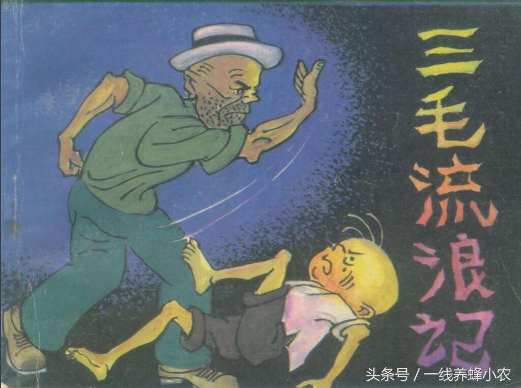 上海三毛最新動態(tài)，自然美景探索之旅啟幕