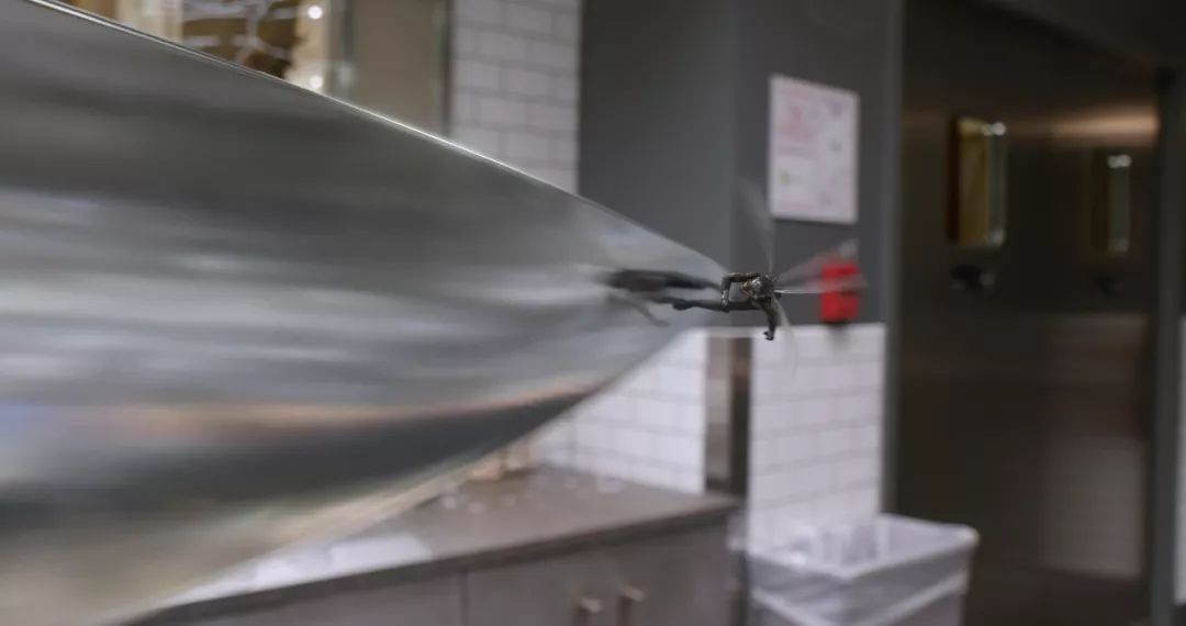 最新電泳技術(shù)，一路向前，學(xué)習(xí)成就自信之源