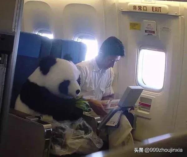 追逐變化之翼，學(xué)習(xí)鑄就自信與成就——虛幻最新探討