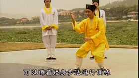 太極最新音樂，傳統(tǒng)與現(xiàn)代的完美融合藝術(shù)展現(xiàn)