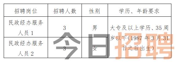 慶陽最新招聘揭秘，小巷中的特色小店，探索未知寶藏的職場(chǎng)之旅