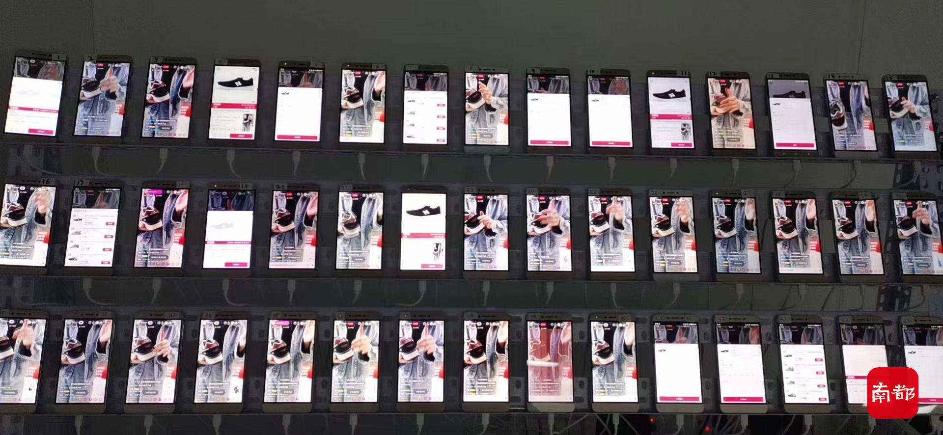 秒拍最新福利，踏上自然之旅，探尋內(nèi)心平和與寧靜的奧秘