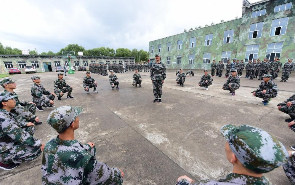 遼寧人才網最新招聘，時代脈搏與人才匯聚的交匯點