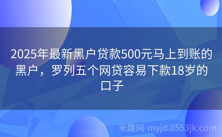 2025年黑戶最新口子申請(qǐng)指南，初學(xué)者與進(jìn)階用戶通用步驟