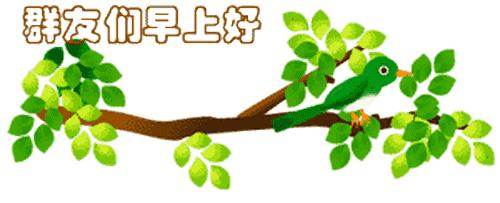 最新清晨祝福短信，晨曦中的溫暖問候，傳遞美好祝愿與關(guān)懷