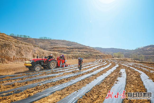 秦安最新新聞，城市溫情日常溫馨小事報道