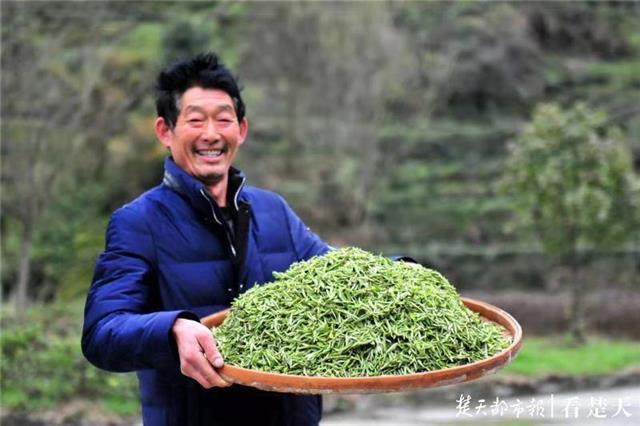 最新夷陵新聞，探索自然美景的旅程，尋覓內(nèi)心平和之地