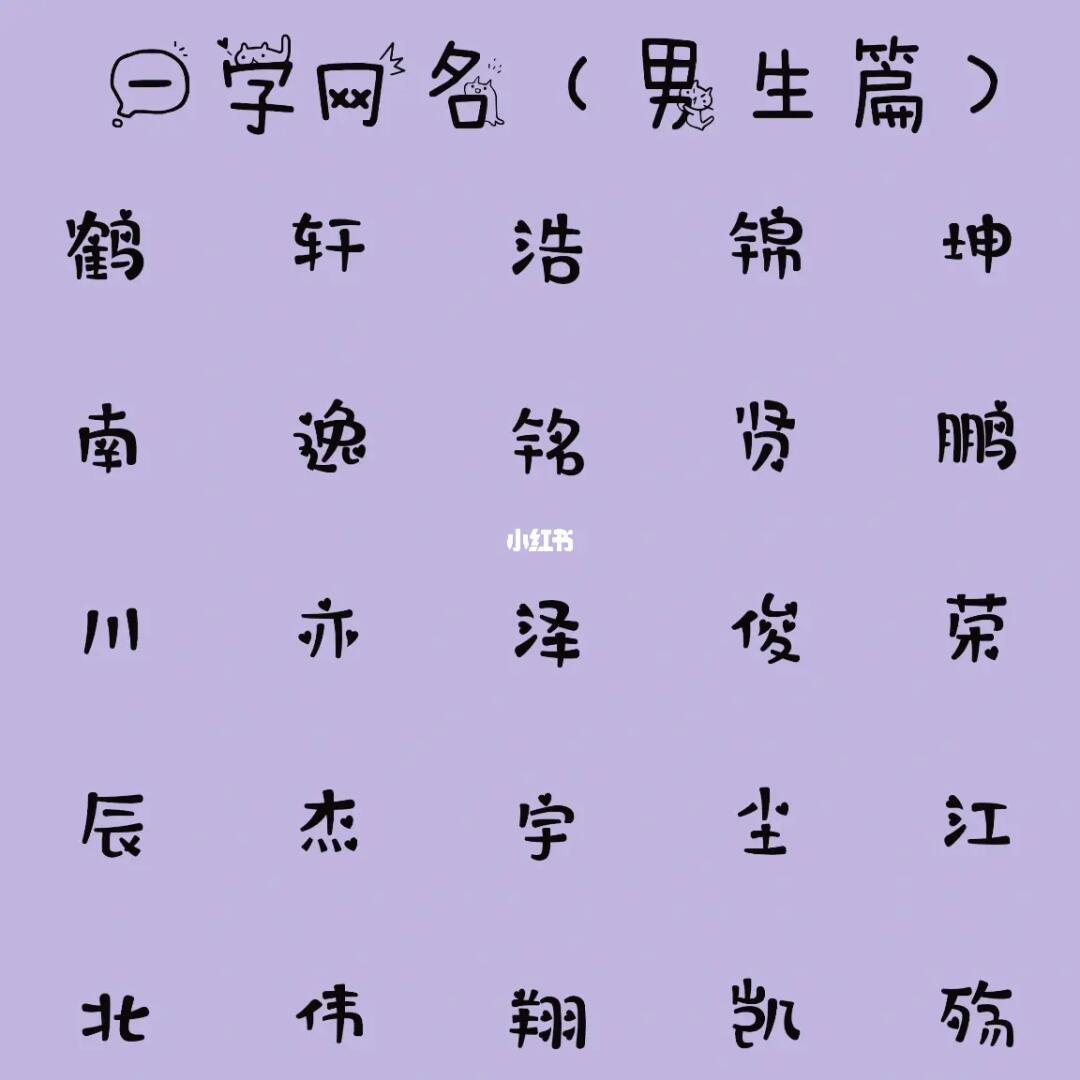 最新男生網(wǎng)名，時(shí)代潮流與虛擬身份的完美融合塑造