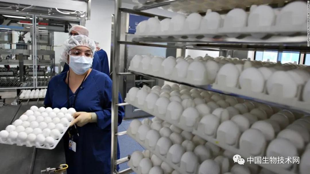 最新流感疫苗，科技助力健康新生活保護(hù)您免受流感侵襲