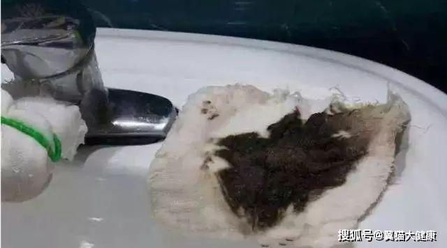 揭秘水污染真相，小杰的河流探索之旅——溫馨河流的秘密揭秘視頻