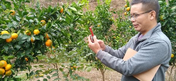 活力四溢的湘西門戶——沅陵最新紅網(wǎng)動(dòng)態(tài)