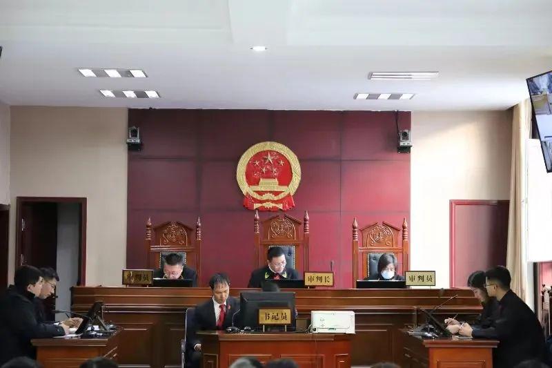 偏關(guān)最新案件深度解析，揭示真相，關(guān)注社會公正與公平