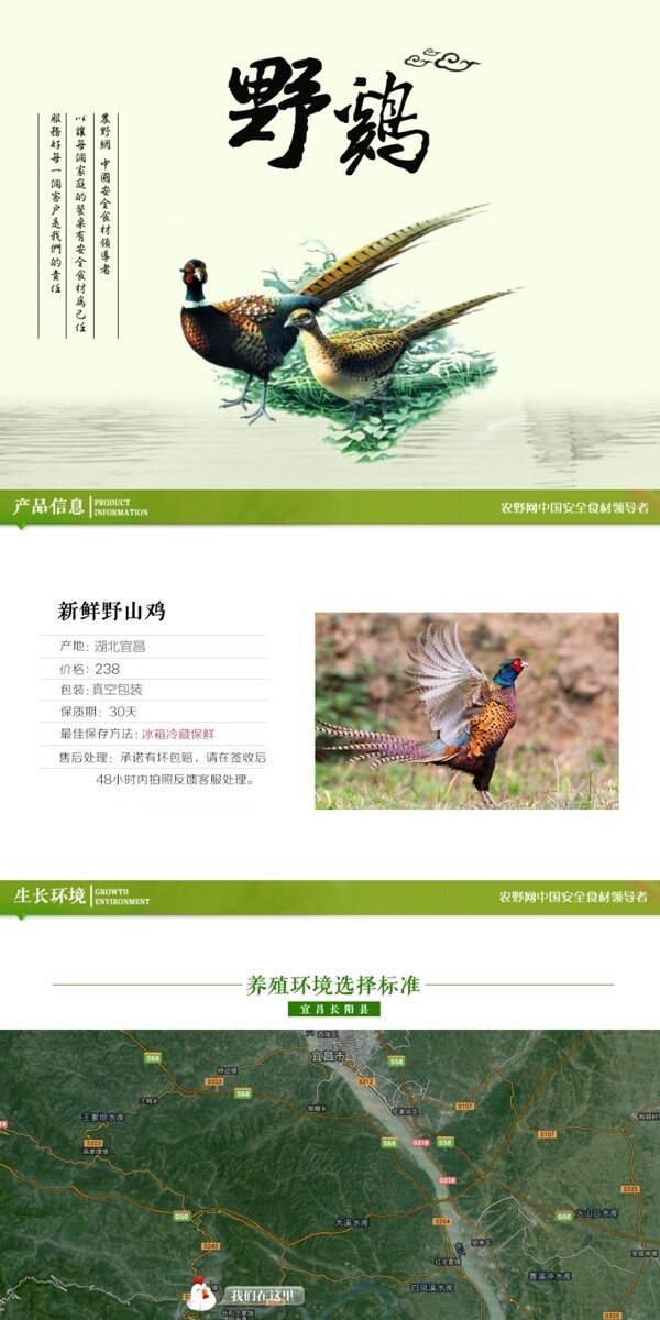 深度剖析，最新山雞的背景、事件與地位概述
