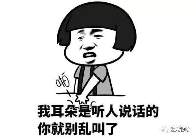 最新枕邊笑話(huà)，科技小寶貝，生活添樂(lè)趣