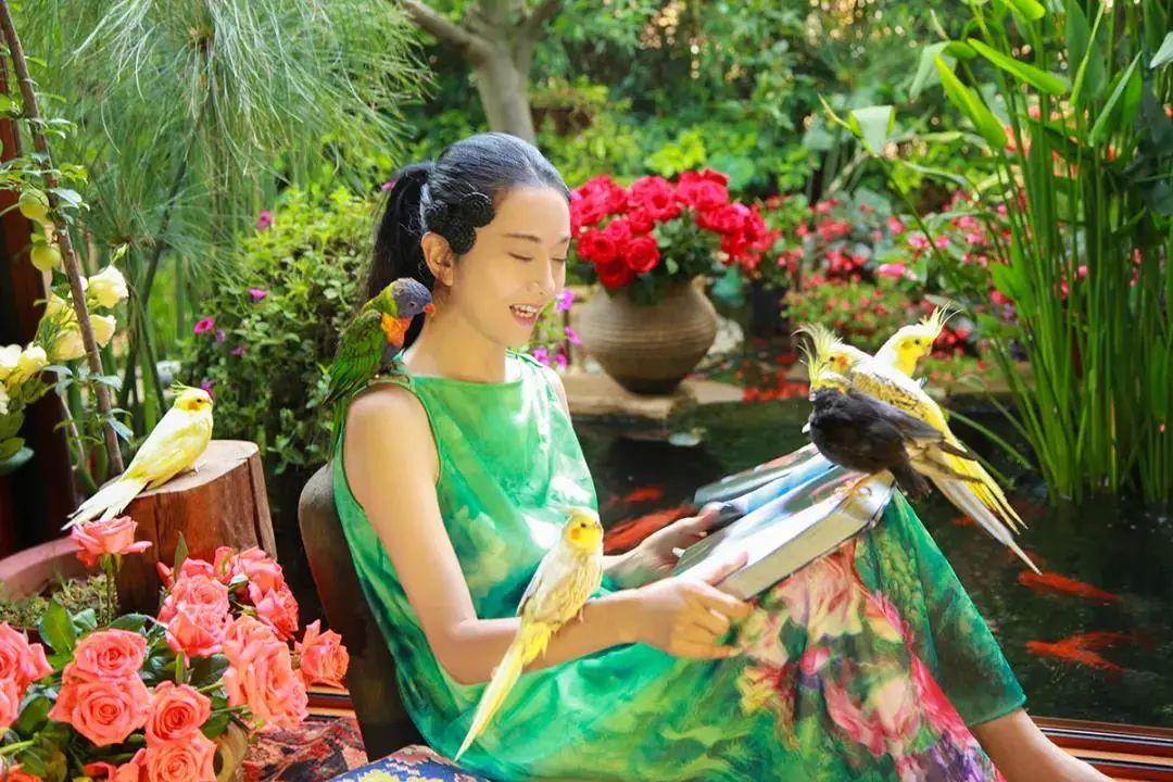 昆明最新舞蹈，文化現(xiàn)象的深度探討