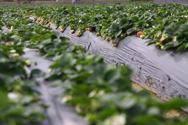 湖北最新封鎖，科技智能重塑防線，守護(hù)生活安全