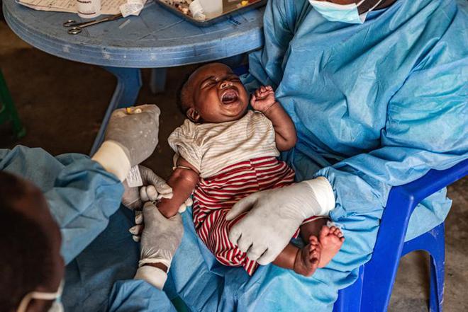 本土感染最新情況，自然美景中的探索之旅