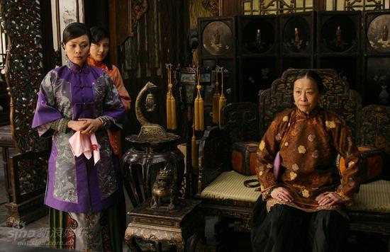 鐵梨花最新更新，日常生活中的趣事與情感紐帶