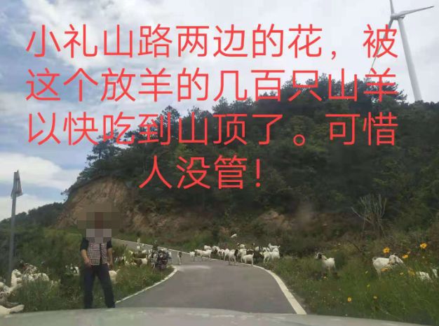 大悟最新路，探索未知，自信成就夢想之旅的啟程